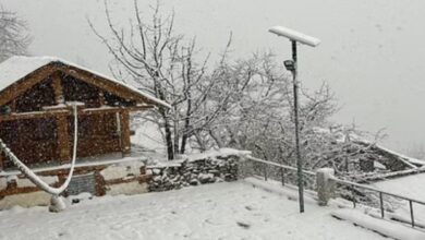 Photo of गंगोत्री-यमुनोत्री धाम में चांदी की तरह चमक रहे पेड़, सुहाना हुआ मौसम