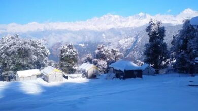 Photo of मिनी स्विटजरलैंड चोपता में सीजन की पहली बर्फबारी, होटलों में 11 तक बुकिंग फुल