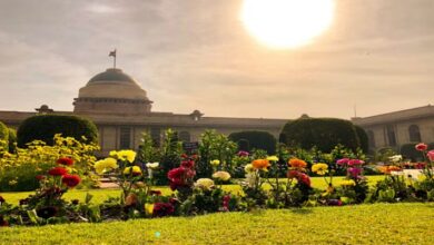 Photo of दिल्ली: आज खुलेगा अमृत उद्यान, ट्यूलिप की थीम पर सजेगा