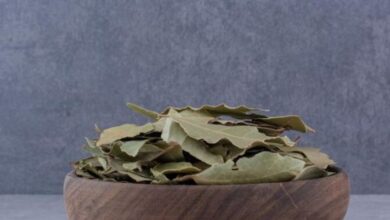 Photo of कब्ज और एसिडिटी की छुट्टी कर देगा तेजपत्ता! जानिए इसके फायदे और इस्तेमाल के बारे में