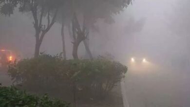 Photo of पहाड़ों पर बर्फबारी तो मैदानी इलाकों में कोहरे और बर्फीली हवाओं की मार