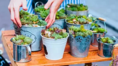 Photo of घर में पड़ी इन बेकार चीजों से बनाएं गमले
