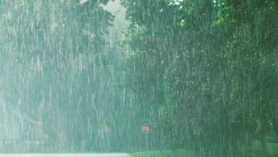 Photo of पहाड़ी इलाकों में होगी बर्फबारी, दिल्ली में आंधी और बिजली के साथ बारिश के आसार