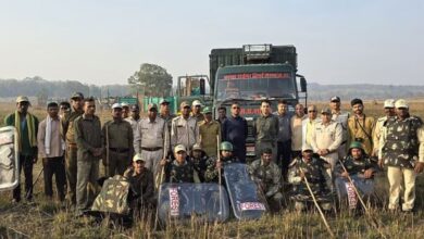 Photo of जबलपुर: कान्हा से सतपुड़ा टाइगर रिजर्व भेजे गये नौ बारासिंघा