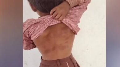 Photo of शहतूत तोड़ने पर तालिबानी सजा: चीखती रही छात्रा, स्टील की स्केल बरसाते रहे गुरुजी…