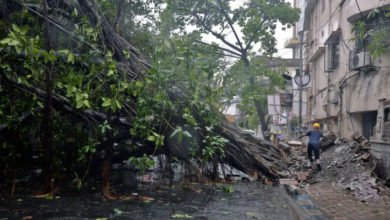 Photo of बंगाल और बांग्लादेश में चक्रवाती तूफान ‘रेमल’ से हजारों घर क्षतिग्रस्त