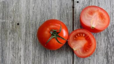 Photo of धूप से चेहरे पर आया कालापन तो टमाटर से बने इन फेस पैक का करें इस्तेमाल