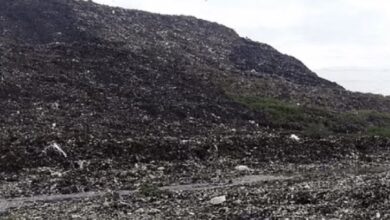 Photo of ओखला में तैयार हो रहा दिल्ली का सबसे बड़ा कंपोस्ट प्लांट