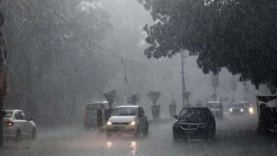 Photo of भोपाल समेत प्रदेश के कई जिलों में झमाझम बारिश, 6 जिलों में रेड अलर्ट