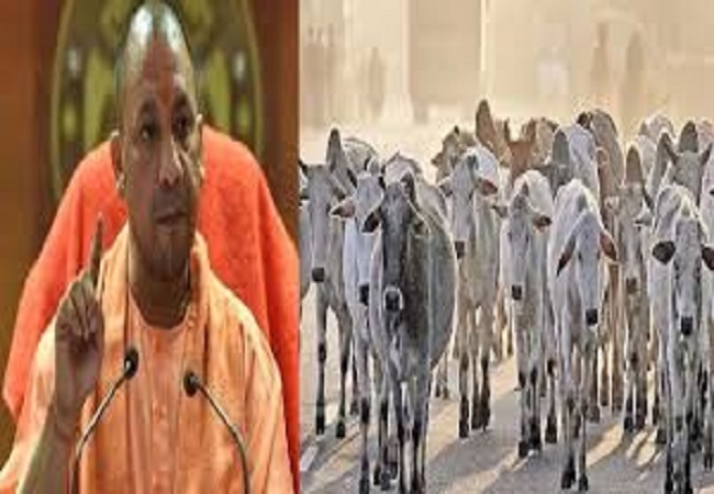 Photo of गो-संरक्षण : योगी सरकार ने 27 हजार हेक्टेयर से अधिक गोचर भूमि को कराया कब्जा मुक्त