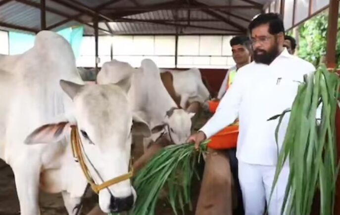 Photo of सरकार का बड़ा फैसला, देशी गाय को दिया ‘राज्यमाता-गोमाता’ का दर्जा