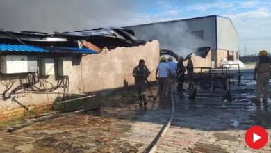 Photo of रनियां में गद्दा फैक्टरी में लगी भीषण आग, बुरी तरह झुलसे छह मजदूर