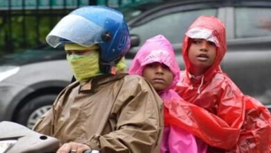 Photo of यूपी: बारिश के चलते कई जिलों के स्कूल बंद,मकान- दीवार गिरने से 32 मौतें