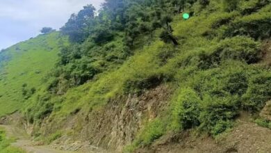 Photo of मानसून सीजन में पांच सौ नए भूस्खलन जोन हुए विकसित, एसडीसी फाउंडेशन ने जारी की रिपोर्ट