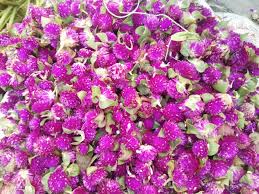 Kanpur flower market during Diwali, Kailash temple flower market Kanpur, High prices of flowers in Kanpur on Diwali, Fruit and flower prices Kanpur Diwali 2024, Crowded Kanpur flower market Diwali, दिवाली के दौरान कानपुर फूल बाजार, कैलाश मंदिर फूल बाज़ार कानपुर, दिवाली पर कानपुर में बढ़े फूलों के दाम फल और फूल के दाम कानपुर दिवाली 2024, दिवाली पर खचाखच भरा कानपुर फूल बाजार,