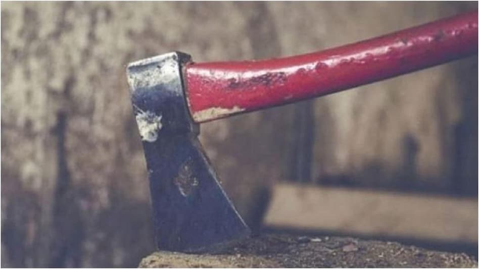 Photo of पेड की डाल टूटने से नाराज लोगों ने महिला पर किया कुल्हाड़ी से हमला