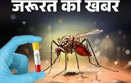 डेंगू केस अपडेट,, लखनऊ में डेंगू के मामले, डेंगू संक्रमण क्षेत्र, मच्छर जनित रोग, लखनऊ डेंगू आंकड़े, डेंगू रोकथाम के उपाय, लखनऊ स्वास्थ्य विभाग, डेंगू केस विवरण, एडीज मच्छर डेंगू डेंगू से बचाव के तरीके, Dengue Cases in Lucknow, Lucknow Dengue Update, Mosquito-borne diseases, Dengue Prevention Tips, Lucknow Health Department, Dengue Area Wise Cases, Aedes Mosquito Dengue, Dengue Awareness Campaign, Dengue Fever Precautions, Dengue Cases Today Lucknow, लखनऊ डेंगू के मामले, डेंगू रोकथाम सलाह, मच्छर जनित बीमारियाँ, लखनऊ में डेंगू से बचाव, घर में डेंगू से सुरक्षा, डेंगू के लिए क्षेत्रवार आंकड़े, डेंगू बुखार सावधानियाँ, लखनऊ में डेंगू प्रकोप, डेंगू से बचाव के उपाय, डेंगू मामले लखनऊ 2024, Dengue Cases in Lucknow 2024, Dengue Prevention Measures, Mosquito-Borne Disease Precautions, Lucknow Dengue Updates, Area Wise Dengue Statistics, Health Precautions for Dengue, Dengue Fever in Lucknow, Mosquito Control Tips, Dengue Alert Lucknow, Lucknow Dengue Prevention Tips,