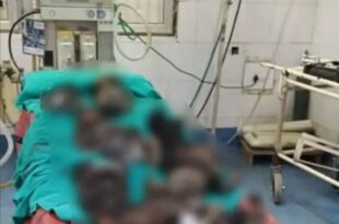 झांसी अग्निकांड फोटो, अस्पताल फायर एक्सटिंग्विशर फेल, 10 बच्चों की मौत झांसी, आग और धमाका झांसी मेडिकल, डिप्टी सीएम कड़ा एक्शन झांसी, Jhansi fire incident photos, Hospital fire extinguisher fail, 10 children dead Jhansi, Fire and explosion Jhansi medical, Deputy CM strict action Jhansi, झांसी अग्निकांड फोटो, अस्पताल फायर एक्सटिंग्विशर फेल, 10 बच्चों की मौत झांसी, आग और धमाका झांसी मेडिकल, डिप्टी सीएम कड़ा एक्शन झांसी, Jhansi fire incident photos, Hospital fire extinguisher fail, 10 children dead Jhansi, Fire and explosion Jhansi medical, Deputy CM strict action Jhansi, झांसी अग्निकांड, मेडिकल कॉलेज हादसा, SNCU वार्ड आग, झांसी मेडिकल ट्रेजेडी, डिप्टी सीएम ब्रजेश पाठक, Jhansi fire incident, Medical college fire, SNCU ward fire, Jhansi tragedy, Deputy CM Brajesh Pathak,