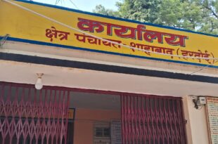 मनवीर सिंह द्वारा किए गए निर्णय सरकारी सेवक आचरण नियमावली के उल्लंघन माने गए हैं। सरकारी अधिकारी के पास किसी अन्य स्थान पर तैनात होने के बाद, उनके द्वारा स्वीकृतियों और निर्णयों की वैधता सवालों के घेरे में है।