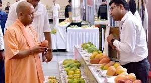 उत्तर प्रदेश आम उत्पादन, Uttar Pradesh mango production, योगी सरकार आम निर्यात, Yogi government mango export, रेडिएशन ट्रीटमेंट प्लांट, Radiation treatment plant, दशहरी आम निर्यात, Dasheri mango export, यूपी आम निर्यात खबर, UP mango export news, आम की खेती, UP mango farming, आम उत्पादन में यूपी नंबर वन, UP number one in mango production, योगी सरकार का कृषि फोकस, Yogi government agricultural focus, वैश्विक बाजार में यूपी आम, UP mango in global market, यूपी आम निर्यात प्रोजेक्ट्स, UP mango export projects,