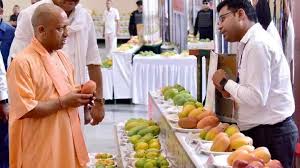 उत्तर प्रदेश आम उत्पादन, Uttar Pradesh mango production, योगी सरकार आम निर्यात, Yogi government mango export, रेडिएशन ट्रीटमेंट प्लांट, Radiation treatment plant, दशहरी आम निर्यात, Dasheri mango export, यूपी आम निर्यात खबर, UP mango export news, आम की खेती, UP mango farming, आम उत्पादन में यूपी नंबर वन, UP number one in mango production, योगी सरकार का कृषि फोकस, Yogi government agricultural focus, वैश्विक बाजार में यूपी आम, UP mango in global market, यूपी आम निर्यात प्रोजेक्ट्स, UP mango export projects,