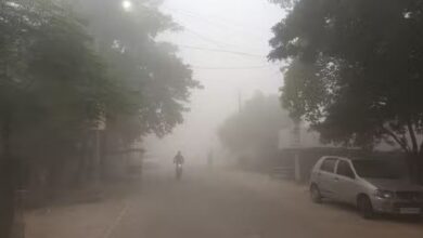 Photo of यूपी: नवंबर लगते ही बदला प्रदेश का मौसम, कुछ जिलों में दिखा हल्का कोहरा
