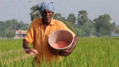 Photo of किसानों के सामने बड़ा संकट, हाउती विद्रोहियों की वजह से देश में डीएपी की किल्लत