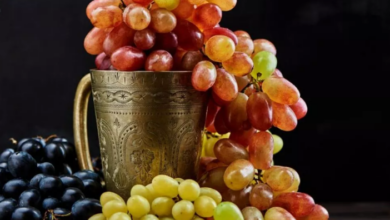 Photo of अंगूर में छिपा है सेहत का राज, सर्दी में रोजाना खाने से मिलते हैं गजब के फायदे!