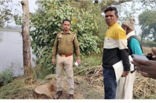 बहराइच पेड़ कटाई, शीशम पेड़, बिना परमिट पेड़ काटना, वन विभाग जांच, बैवाही गांव पेड़ काटना, मोतीपुर रेंज, लकड़ी ठेकेदार,Bahraich tree cutting, Sheesam tree, Tree cutting without permit, Forest department inquiry, Baewahi village tree cutting, Motipur range, Wood contractor,
