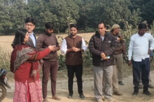 शेर की चहलकदमी, शेर के पगचिन्ह, वन विभाग निरीक्षण, Tiger sighting, Forest Department inspection, Village tiger warning,