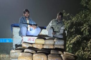 अवैध गाॅजा तस्करी, एसटीएफ गिरफ्तारी, मादक पदार्थ की बरामदगी, गाॅजा तस्करी गिरोह, अवैध मादक पदार्थ की तस्करी, STF drug arrest, marijuana drug trafficking, illegal drug gang bust, Badaun drug haul, drug trafficking network,