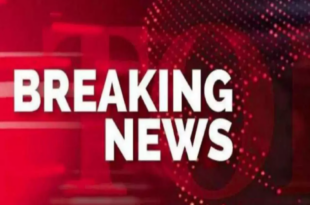 ammonia gas leak images, UP factory incident photos, Aligarh gas leak rescue operations, meat factory gas leak visuals, chaos due to ammonia leakage, अमोनिया गैस रिसाव तस्वीरें, यूपी फैक्ट्री हादसा, अलीगढ़ गैस रिसाव राहत कार्य, मीट फैक्ट्री गैस लीक फोटो, अमोनिया रिसाव से अफरा-तफरी, Aligarh Ammonia gas leak, UP meat factory gas leak, ammonia leakage incident, women unconscious due to gas leak, gas leak in Aligarh factory, अलीगढ़ अमोनिया गैस रिसाव, यूपी मीट फैक्ट्री गैस लीक, अमोनिया रिसाव में महिलाएं बेहोश, अलीगढ़ गैस रिसाव हादसा, यूपी गैस लीक घटना,