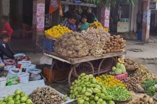 थोक महंगाई नवंबर, महंगाई में कमी, खुदरा महंगाई 2024, थोक महंगाई 1.89%, खाद्य वस्तुओं की कीमतें, सब्जियों के दाम में गिरावट, Wholesale inflation November, inflation reduction, retail inflation 2024, wholesale inflation 1.89%, food prices decrease, vegetable price reduction, नवंबर महंगाई रिपोर्ट, थोक महंगाई घटने का कारण, खाद्य वस्तुओं के दाम, सब्जियों की कीमतों में कमी, November inflation report, reasons for wholesale inflation decrease, food item prices, vegetable price decrease,