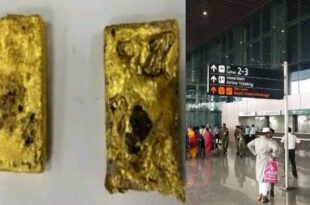 जयपुर एयरपोर्ट सोना तस्करी, कस्टम विभाग कार्रवाई, UAE से सोना लाना, अंडर गारमेंट्स में सोना छिपाना, सोना तस्करी मामला, 2 करोड़ का सोना बरामद, कस्टम विभाग जांच, Jaipur airport gold smuggling, customs department action, gold smuggling from UAE, hiding gold in undergarments, 2 crore gold seized, customs department investigation, जयपुर एयरपोर्ट सोना तस्करी, कस्टम विभाग कार्रवाई, UAE से सोना तस्करी, 3.5 किलो सोना बरामद, अंडर गारमेंट्स में छिपाकर लाना, Jaipur airport gold smuggling, customs department action, gold smuggling from UAE, 3.5 kg gold seized, hiding gold in undergarments,