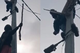 संभल बिजली विवाद, बिजली बिल बकाया, लाइन काटने पर हंगामा, महिला का वीडियो वायरल, बिजली विभाग की कार्रवाई, Sambhal electricity dispute, unpaid electricity bill, viral video woman on pole, power cut issue, electricity department action, बिजली विभाग विवाद, पोल पर चढ़ी महिला, डंडा लेकर महिला, बिजली बिल का हंगामा, संभल में बिजली विवाद, electricity department issue, woman with stick, unpaid bill drama, Sambhal viral video, power cut protest, #संभलबिजलीविवाद, #महिलाका_वीडियो_वायरल, #बिजलीबिल_बकाया, #लाइनकाटने_का_हंगामा, #सोशलमीडियाकी_सुर्खियां, #SambhalElectricityDispute, #ViralWomanVideo, #UnpaidBillProtest, #PowerCutDrama, #ElectricityDepartmentIssue,