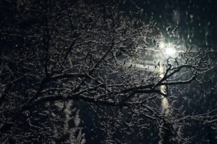 उत्तर प्रदेश ठंड, Uttar Pradesh Cold, लखनऊ ठंड, Lucknow Cold, उत्तर प्रदेश मौसम अपडेट, Uttar Pradesh Weather Update, उत्तर प्रदेश वायु प्रदूषण, Uttar Pradesh Air Pollution, लखनऊ वायु गुणवत्ता, Lucknow Air Quality, AQI स्तर, AQI Level, ठंड का असर उत्तर प्रदेश, Cold Weather Uttar Pradesh, फेंगल तूफान असर, Cyclone Fungal Effect, ठंडी हवा उत्तर प्रदेश, Cold Winds Uttar Pradesh,
