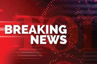 लापता युवक, Missing person, कंकाल, Skeleton, गन्ने के खेत, Ganna field, शाहाबाद थाना, Shahabad police, हरदोई, Hardoi, पुलिस जांच, Police investigation, डीएनए टेस्ट, DNA test, कंकाल की शिनाख्त, Identification of skeleton,