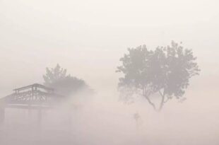 सर्दी, उत्तर प्रदेश में बर्फबारी, कोल्ड डे, उत्तर प्रदेश मौसम, कोहरा, पछुआ हवाएं, ठंड, सर्दी में बढ़ोतरी, UP Winter Cold, Snowy weather UP, Foggy conditions, UP Weather Update, Cold wave UP, Cold day forecast UP, Uttar Pradesh cold, Weather alert UP,