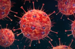HMPV वायरस, महाराष्ट्र HMPV केस, Nagpur virus cases, Human Metapneumovirus cases India, स्वास्थ्य विभाग HMPV अलर्ट, HMPV symptoms and precautions, महाराष्ट्र स्वास्थ्य समाचार, Viral infections India, latest health news India, एचएमपीवी वायरस के लक्षण, महाराष्ट्र वायरस अलर्ट, नागपुर बच्चों की स्वास्थ्य रिपोर्ट, वायरस से बचाव के उपाय, Health alert Maharashtra, बच्चों में HMPV संक्रमण, इंडिया हेल्थ अपडेट,