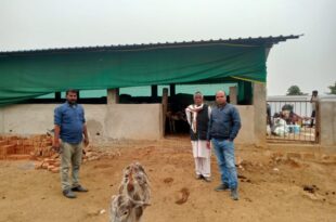 पशु आश्रय स्थल, मिर्जापुर, पशु चिकित्साधिकारी, निरीक्षण, कमलेश कुमार, पशु सुरक्षा, भूसा, पशुहार, सोलर पैनल, सबमरसिबल पंप, पशु देखभाल, पशु आश्रय, हथेड़ा, बरया, उमरिया, गौरवा, मिर्जापुर पशु आश्रय, पशुओं के लिए जल व्यवस्था, निरीक्षण और सुधार, animal shelter inspection, Kamlash Kumar, animal care, hay, solar panel, submersible pump, animal protection, पशु आश्रय स्थल निरीक्षण, मिर्जापुर पशु आश्रय, पशु चिकित्साधिकारी निरीक्षण, हथेड़ा पशु आश्रय, भूसा पशुहार, सोलर पैनल व्यवस्था, पशु जल व्यवस्था, पशुओं की देखभाल, बरया पशु आश्रय, उमरिया पशु आश्रय, गौरवा पशु आश्रय, मिर्जापुर में पशु देखभाल, animal shelter inspection in Mirzapur, animal care by Kamlash Kumar, solar panel for animal shelters, animal hay and food, Hatheda animal shelter inspection,