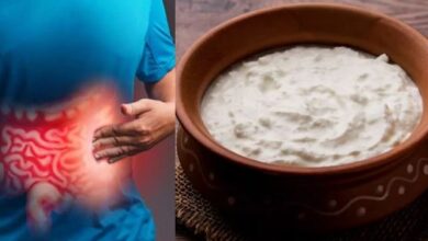 Photo of रोजाना एक कटोरी दही खाने से कम होता है Colon Cancer का खतरा? 