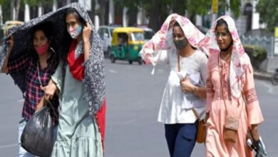Photo of मार्च में पारा 40 के पार, 2025 होगा सबसे गर्म साल…