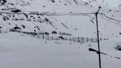 Photo of धाम में अभी तीन फीट से अधिक बर्फ जमी, पूरा मंदिर परिसर ढका, कई कैंपों को भी पहुंचा है नुकसान