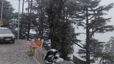 Photo of औली में बर्फ न होने से स्की एंड स्नो बोर्ड चैंपियनशिप स्थगित, अब स्की माउंटेनियरिंग कराने की तैयारी