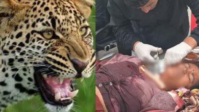 Photo of चमोली में शौच के लिए जा रही महिला पर गुलदार ने किया हमला, अस्पताल में भर्ती