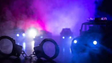 Photo of दिल्ली: सीआर पार्क में मछली की दुकानें बंद कराने की कोशिश में दो गिरफ्तार