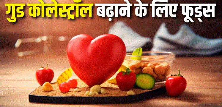Photo of Good Cholesterol लेवल बढ़ाने के लिए खाएं 5 फूड्स