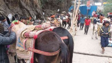 Photo of यात्रा में घोड़ा-खच्चर बीमार हुए तो होंगे क्वारंटीन, कोटमा और फाटा में स्थापित किए गए सेंटर
