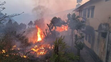 Photo of रौली क्षेत्र में ऑफिसर कॉलोनी तक पहुंची जंगल की आग, कर्मचारियों के परिवारों ने भागकर बचाई जान