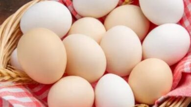 Photo of रोज डाइट में शामिल कर लें एक अंडा, सेहत में दिखेंगे 5 कमाल के बदलाव